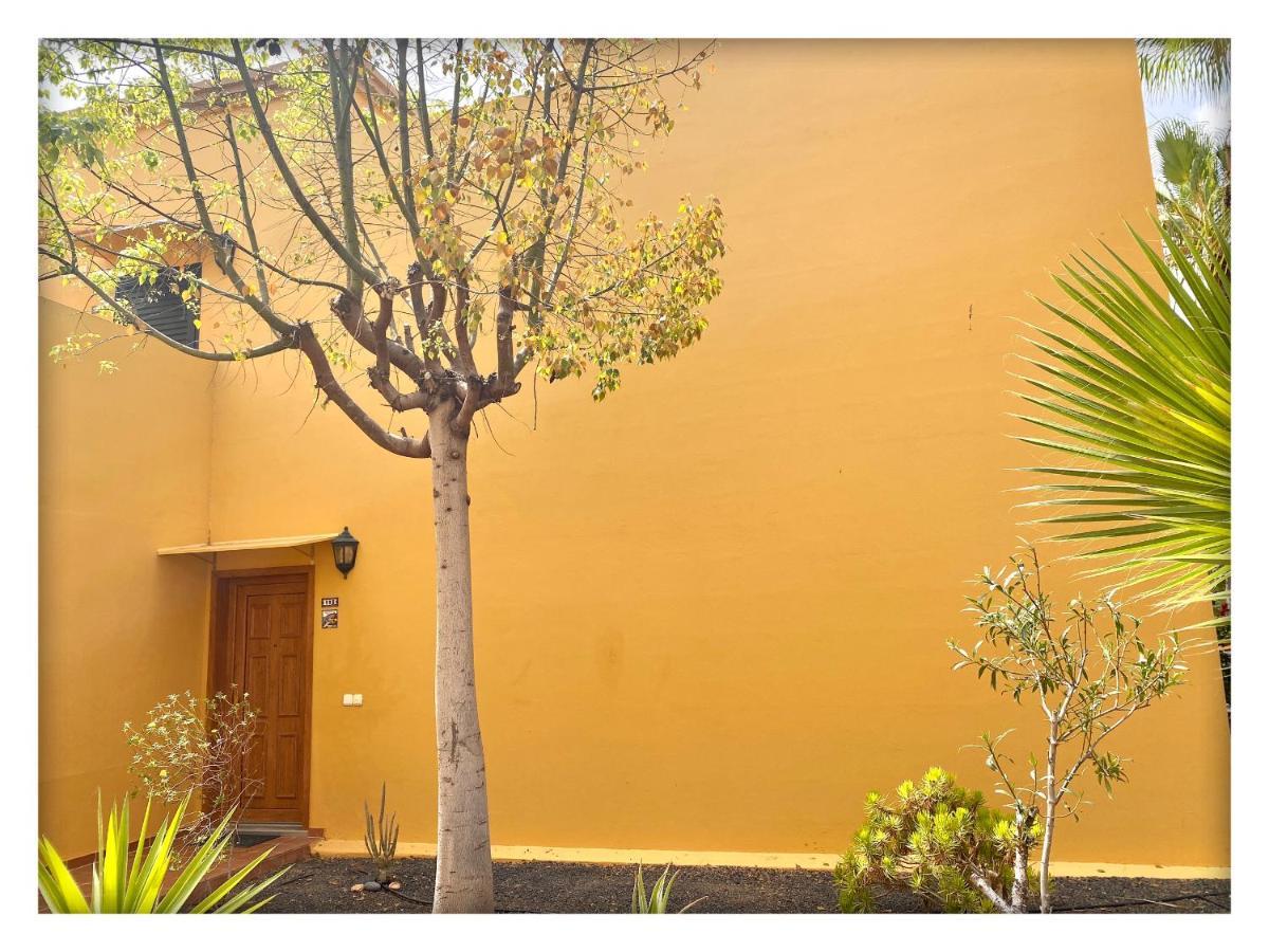 Tamarindo Pura Vida - Relax Y Vistas Al Mar Corralejo Exterior foto